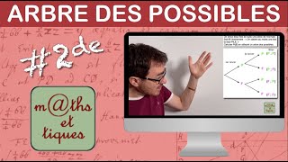 Calculer une probabilité à laide dun arbre des possibles 1  Seconde [upl. by Matrona]