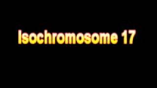 What Is The Definition Of Isochromosome 17 Medical School Terminology Dictionary [upl. by Herates132]