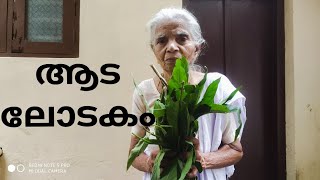 ആടലോടകം പൊടിക്കൈ  Relief from coughing  അമ്മുമെടെ Ayurvedic Recipe  Mucus Infection Cure [upl. by Delwin407]