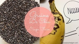 Graine De Chia Coupe Faim [upl. by Hewart]