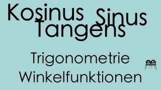 Winkelfunktionen  Trigonometrie [upl. by Akinod]