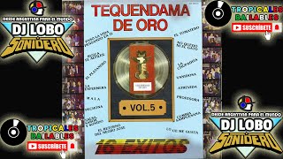 TEQUENDAMA DE ORO VOL5  LADO B AUDIO FULL ℗ © 1985 [upl. by Blandina585]