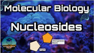 Learn More About Nucleosides amp Its Functions Informative Lecture for Molecular Biology by Doctordr [upl. by Katherine]