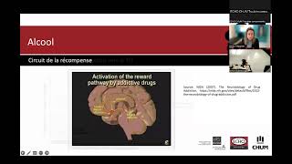 Neurobiologie du trouble d’usage d’alcool [upl. by Aralk600]