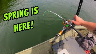 Fishing in the Spring for Catfish Perch and Shad HOW TO  River Fishing Techniques [upl. by Eet]