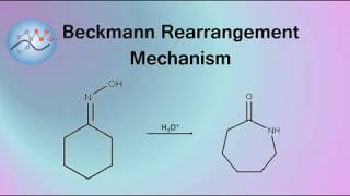 Beckmann Rearrangement Example Mechanism  Organic Chemistry [upl. by Franciscka]