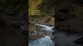 Nishizawa gorge 西沢渓谷nishizawagorge hikinginjapan explorejapan waterfallsounds autumninjapan 滝 [upl. by Viviana]