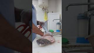 amazing flat fish cuttingskill [upl. by Devaney]