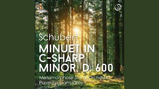 Minuet in CSharp Minor D 600 [upl. by Eiblehs]