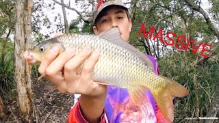 CARP AND TILAPIA Catch n Cook [upl. by Omari]