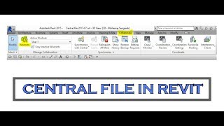 Central file and worksets local copy in revit [upl. by Bartolome]