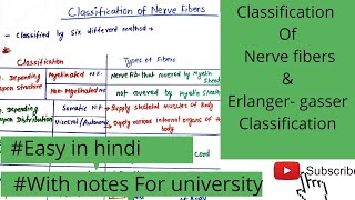 Classification of nerve fibers types of nerve fibersErlangergasser classification [upl. by Etnovahs784]