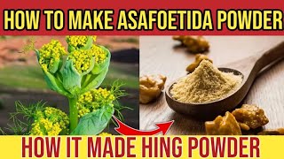 How to make Asafoetida powder  How it made Hing powder  Hing easy making process  Hing peda [upl. by Ayotnom]