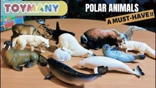 TOYMANY Polar Animals Playset Review A MustHave for Collectors 😍 [upl. by Llehsyt]