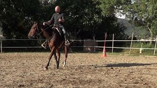 Natural horsemanship Under Saddle  Moving the Front [upl. by Llen]