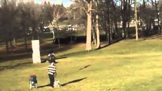 Golden Eagle Snatches Kid hd resolution real situation [upl. by Purity]