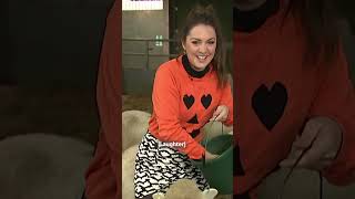 Laura accidentally rides a sheep live on TV  Good Morning Britain funnyshorts funnyanimals [upl. by Mott]