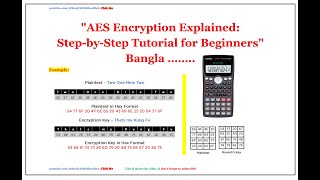 AES Algorithm in Cryptography in Bangla  AES Algorithm Example 2024 [upl. by Muncey]