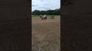 Hurstpierpoint ploughing match shorts [upl. by Ogir397]