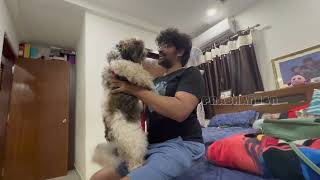 Daddy Came Back Home  Pet Happiness  Booster Prabhanjan [upl. by Ahsinroc674]