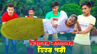 দিহানের কাঁঠাল পরী  Dihaner Kathal pori  bengail fairly tales  dihan  bihan [upl. by Alemrac]