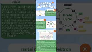 Tugas dasar dasar mikrobiologimetabolisme mikroorganisme katabolisme dan anabolisme [upl. by Tessi]