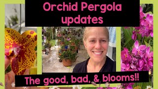 Orchid Garden Updates The good the bad and some beautiful blooms 🌸 [upl. by Nairrad]