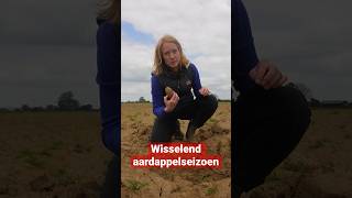 Wisselend aardappelseizoen [upl. by Namzaj]