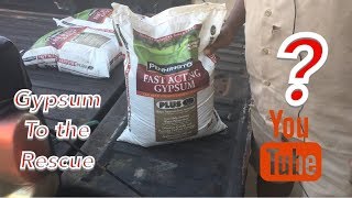 What is Gypsum and how to apply it [upl. by Ylrebmyk23]