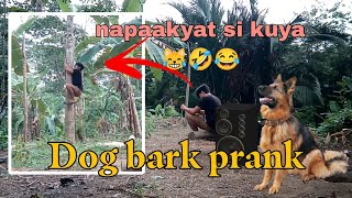 Dog bark prank [upl. by Kriss]