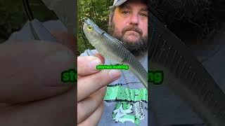 The Best Bait For Fall Bass [upl. by Humpage]