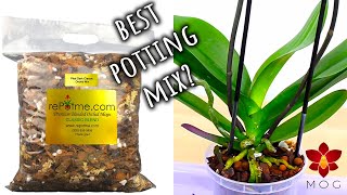 What Orchid Potting Mix is best for you  Easy guide for beginners  Orchid Care for Beginners [upl. by Krefetz]