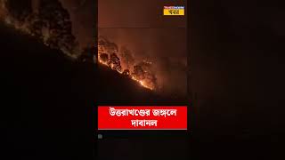 Uttarakhandএর জঙ্গলে দাবানল  Forrest Fire [upl. by Lemmueu]