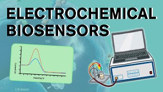 Electrochemical biosensors [upl. by Graehme]