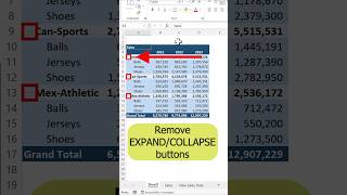 Remove  buttons in pivot table [upl. by Meldoh]