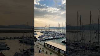 SARDINIA Alghero marina 🇮🇹 Porto di Alghero [upl. by Lanos]