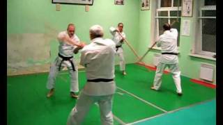 Shinyo Shinden ryu yawara  trening w Sakura no Yama dojo Chrzelice 2009 [upl. by Strong540]