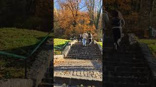 4K Walking Around Brasov Romania  The Council Square brasov oldtownbrasov POVBarengHasan [upl. by Onairpic]