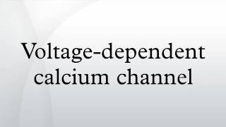 Voltagedependent calcium channel [upl. by Gothar303]