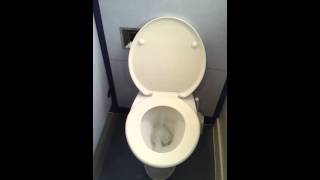 How to Flush a British Toilet [upl. by Nottarts]