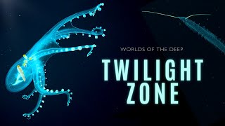 Mysteries of the Twilight Zone  Worlds of the Deep [upl. by Bradly]