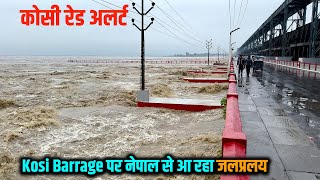 Kosi Barrage पर नेपाल से आ रहे जलप्रलय को देखकर आप डर जाएँगे आप  Kosi Flood 2024  Way4U [upl. by Greenwald267]