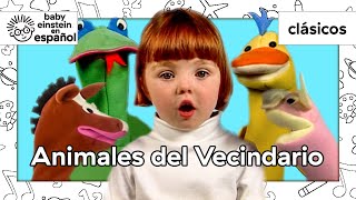 Animales del Vecindario  Clásicos de Baby Einstein  T1 Ep2  BabyEinsteinenEspanol [upl. by Hebrew]