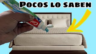 Aplica PASTA DENTAL a tu CAMA  💥LO APRENDÍ EN UN HOTEL💥🤫 [upl. by Holsworth]