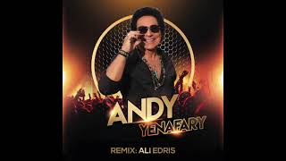 Andy Yenafary Remix Ali Edris MP3 [upl. by Fadiman403]