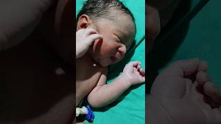 newborn babies being born shorts trending viralshort newborn youtubeshorts cute javaharji [upl. by Arodoet]