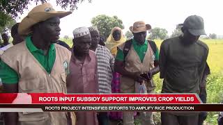 Roots project officials tour farmlands in the Upper River Region [upl. by Dnalerb]