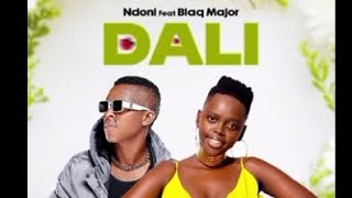 Blaq Major  Dali ft Ndoni Official Music Audio [upl. by Nylikcaj988]