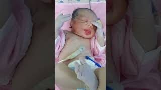 Cute Baby 🥰ytshorts viralshorts trending hospitality cutebaby baby [upl. by Ahseem19]