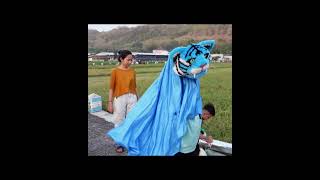 BARONGAN MACAM BIRU DISUNTIK MENJADI BARONGAN BESAR [upl. by Eniretac]